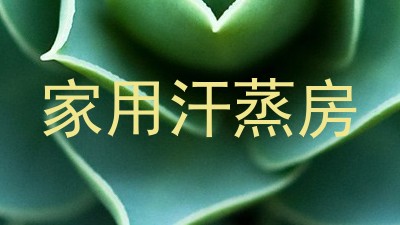 家用汗蒸房