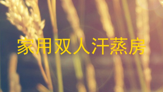 家用双人汗蒸房