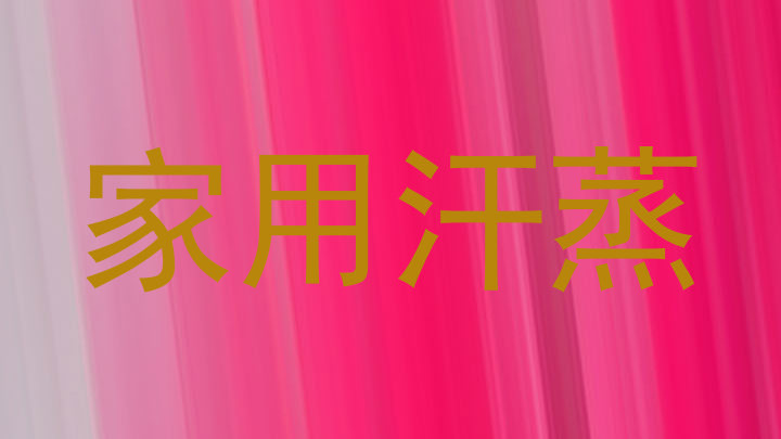 家用汗蒸