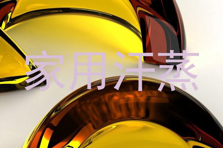 家用汗蒸