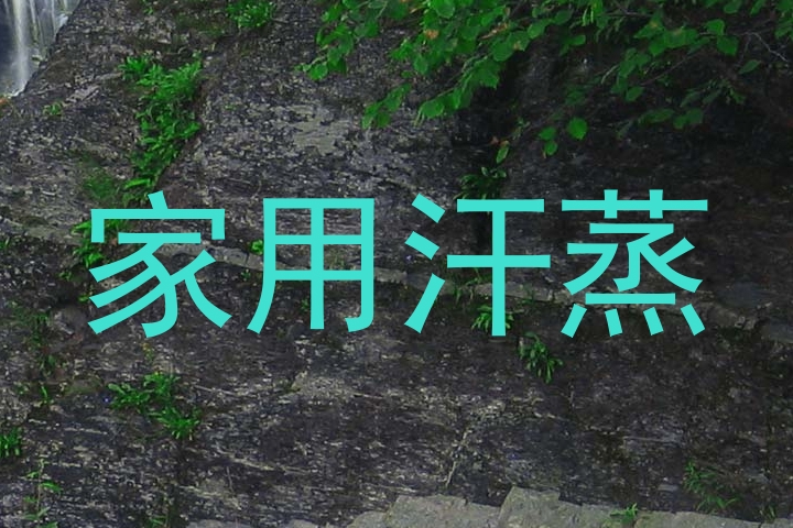 家用汗蒸