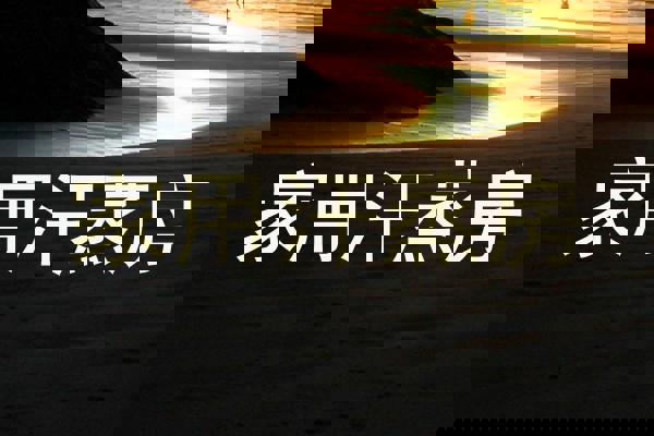 家用汗蒸房