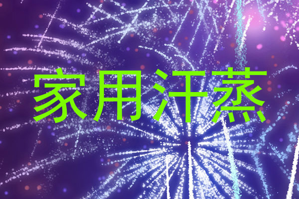 家用汗蒸