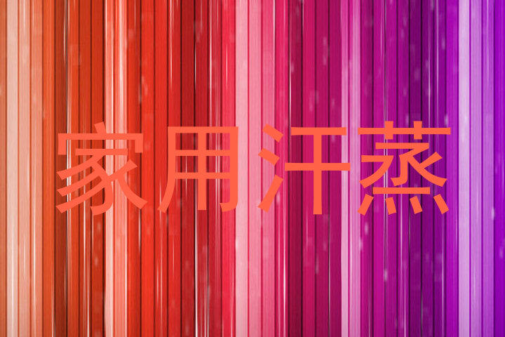 家用汗蒸