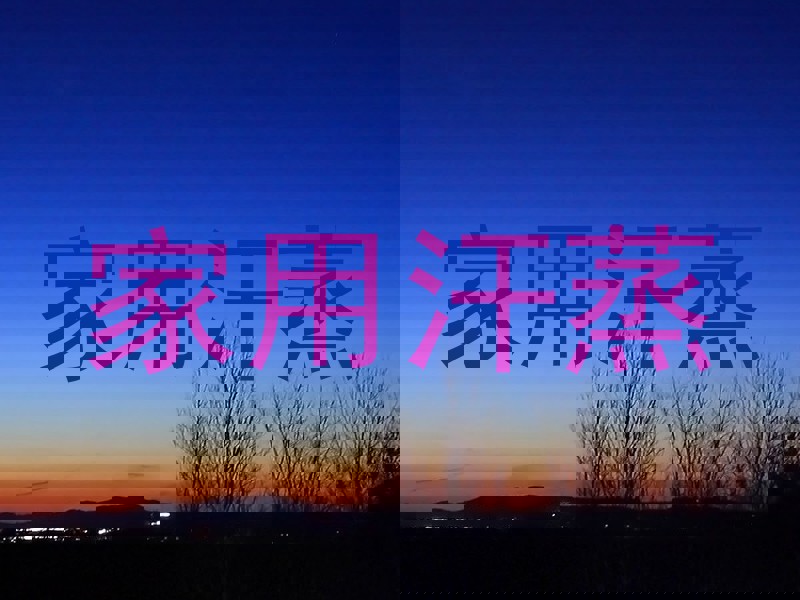家用汗蒸