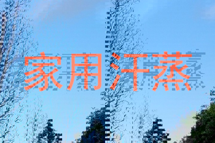 家用汗蒸