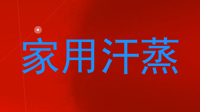 家用汗蒸