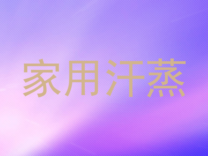 家用汗蒸