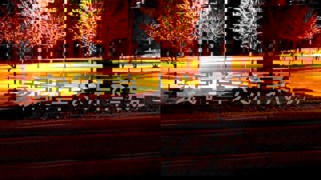 家用单人汗蒸房