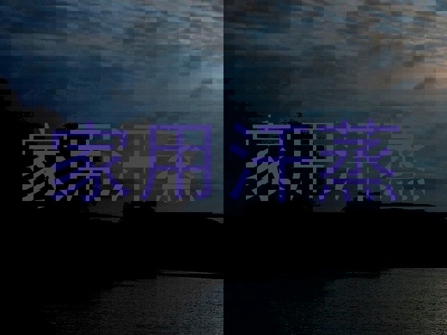 家用汗蒸
