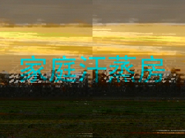 家庭汗蒸房