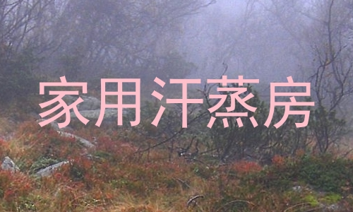 家用汗蒸房