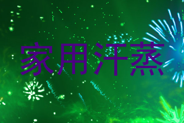 家用汗蒸