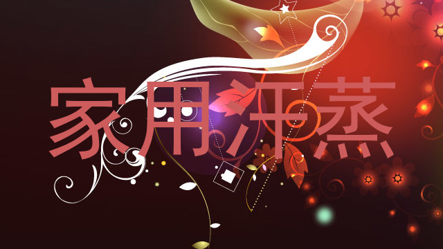 家用汗蒸