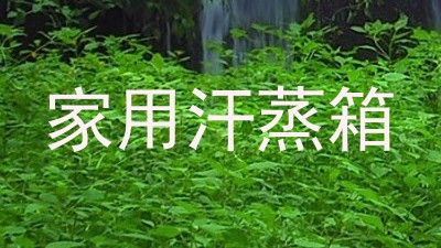 家用汗蒸箱