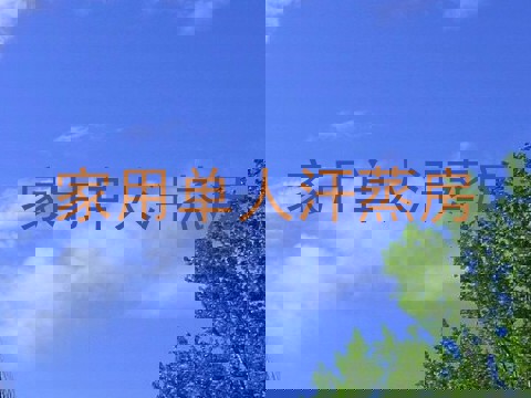 家用单人汗蒸房