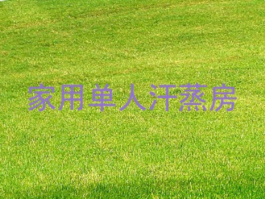 家用单人汗蒸房