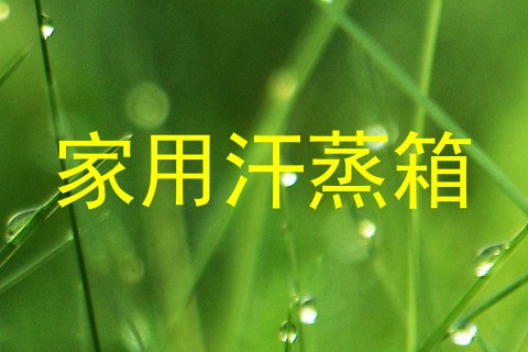 家用汗蒸箱