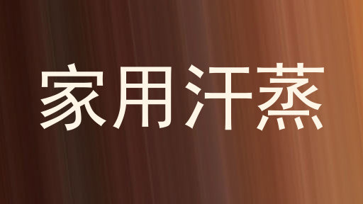家用汗蒸