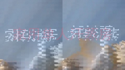 家用单人汗蒸房