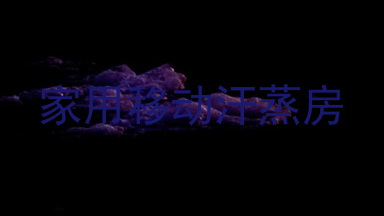 家用移动汗蒸房