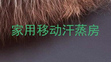 家用移动汗蒸房