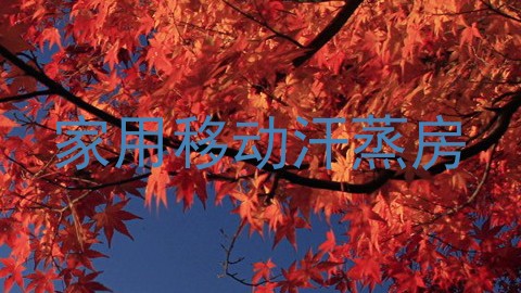 家用移动汗蒸房