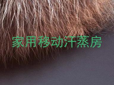 家用移动汗蒸房