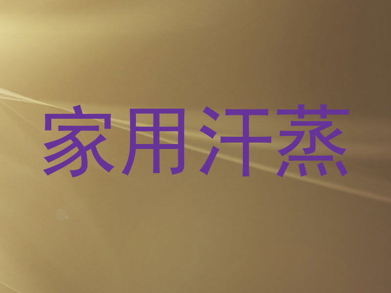 家用汗蒸