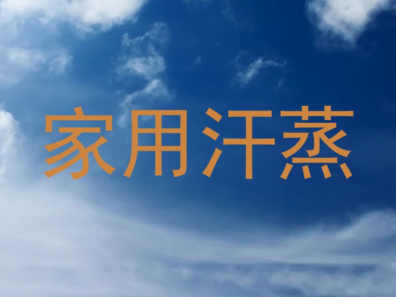 家用汗蒸