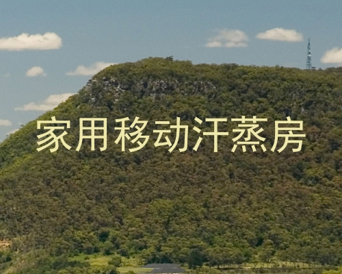 家用移动汗蒸房