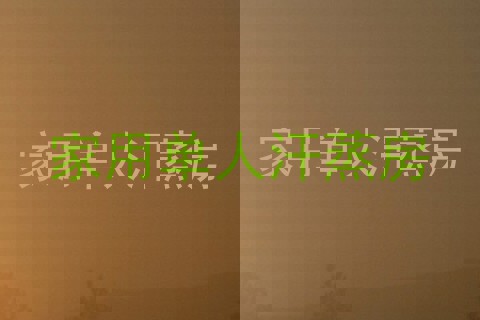 家用单人汗蒸房