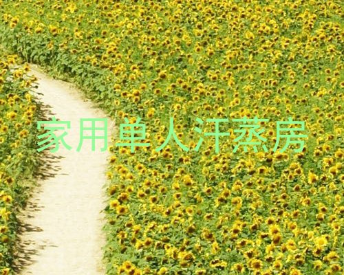 家用单人汗蒸房