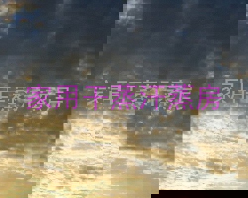 家用干蒸汗蒸房