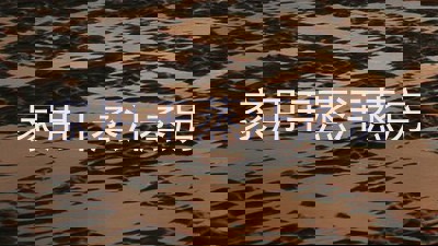 家用干蒸汗蒸房