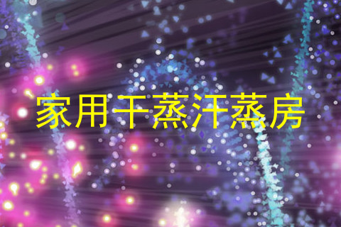 家用干蒸汗蒸房