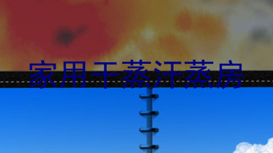 家用干蒸汗蒸房