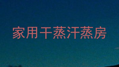 家用干蒸汗蒸房
