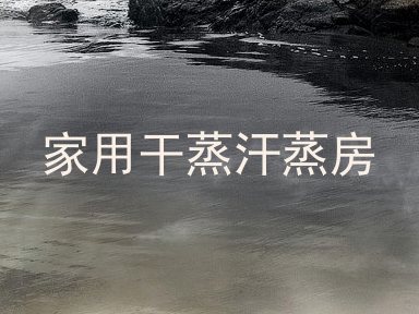 家用干蒸汗蒸房