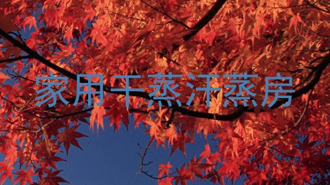 家用干蒸汗蒸房