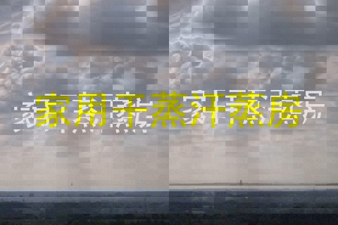 家用干蒸汗蒸房