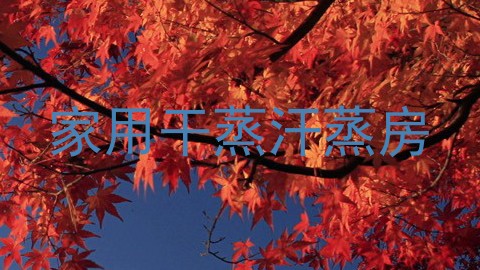 家用干蒸汗蒸房