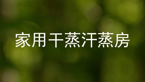 家用干蒸汗蒸房