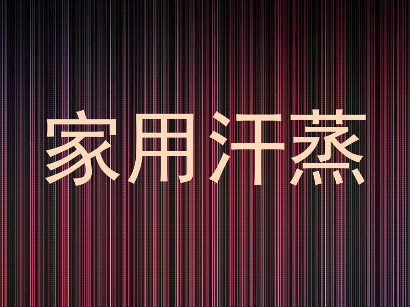 家用汗蒸