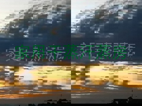 家用干蒸汗蒸房