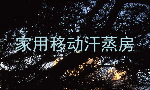 家用移动汗蒸房