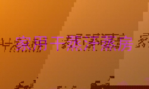 家用干蒸汗蒸房