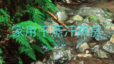 家用干蒸汗蒸房