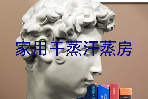 家用干蒸汗蒸房