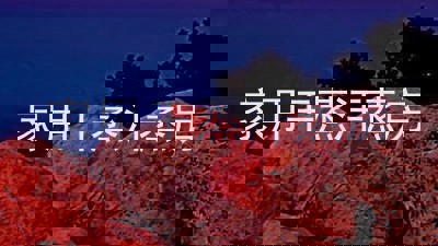 家用干蒸汗蒸房